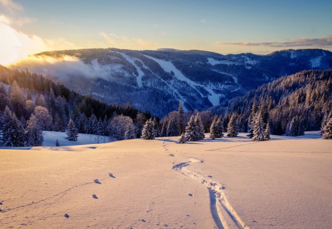 Schwarzwälder Weihnachtszauber im Breisgau